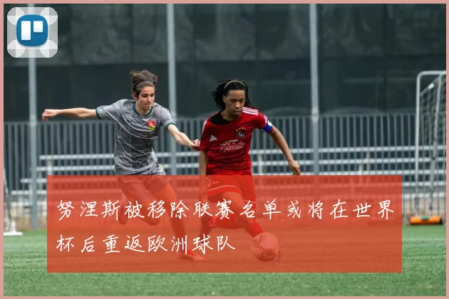努涅斯被移除联赛名单或将在世界杯后重返欧洲球队